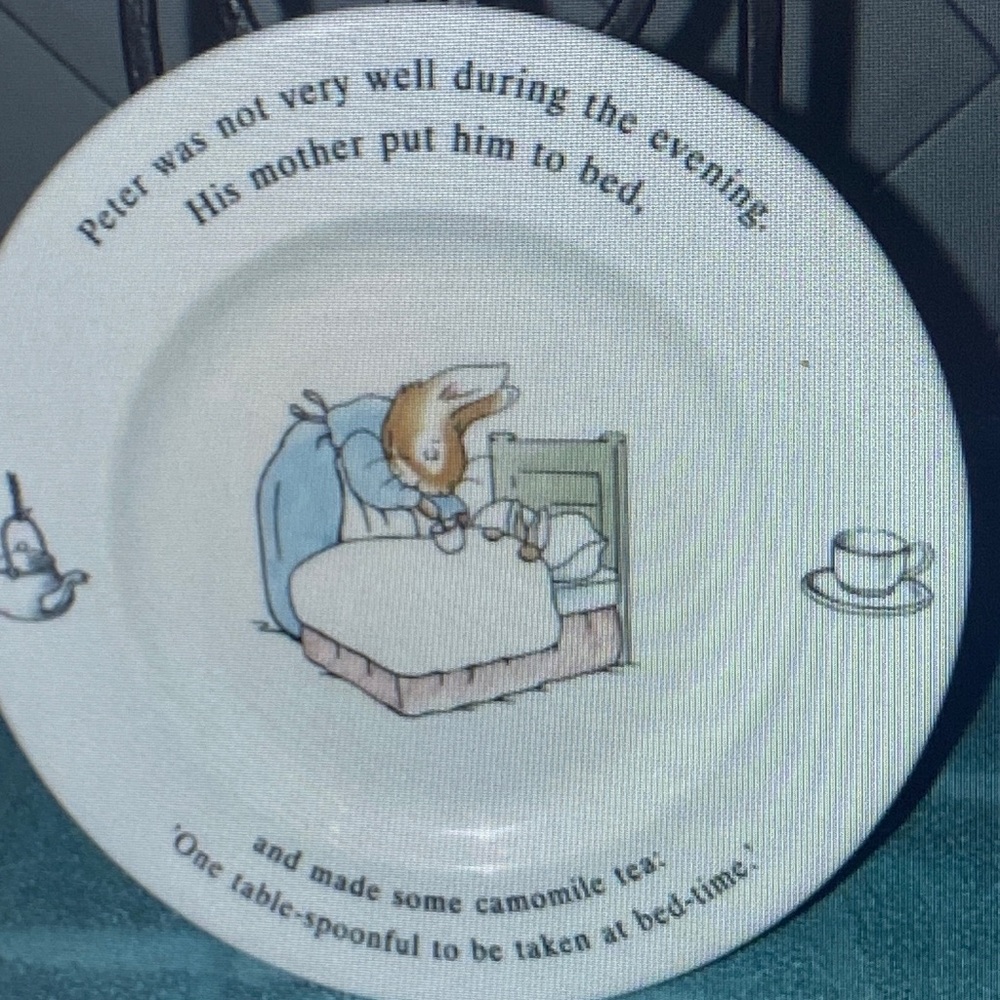 Vintage Wedgwood Beatrix Potter Peter Rabbit Child's 7" Plate Neutral Color 1993